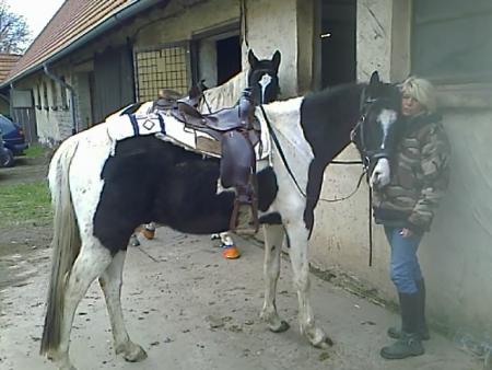 mon meilleur ami