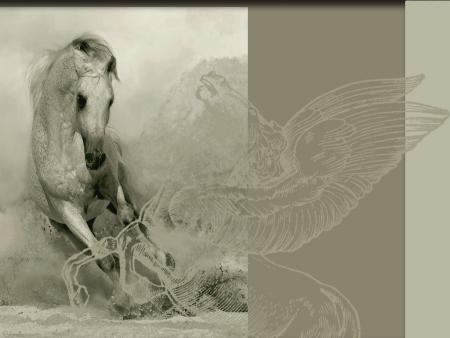 cheval qui degage un romantisme